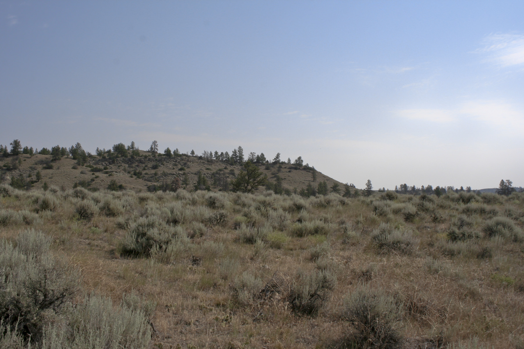 Silver Sage Ranch property picture 5 of 10