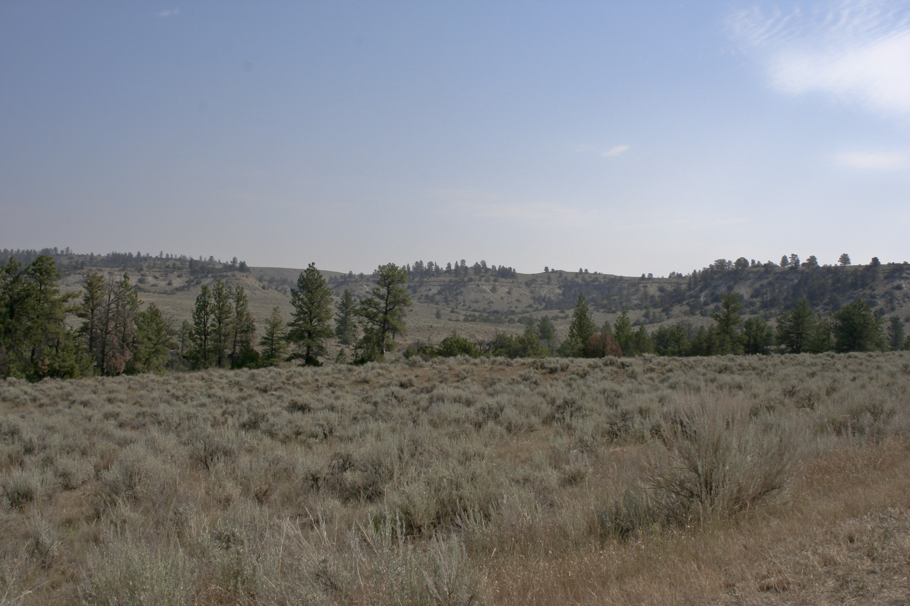 Silver Sage Ranch property picture 6 of 10