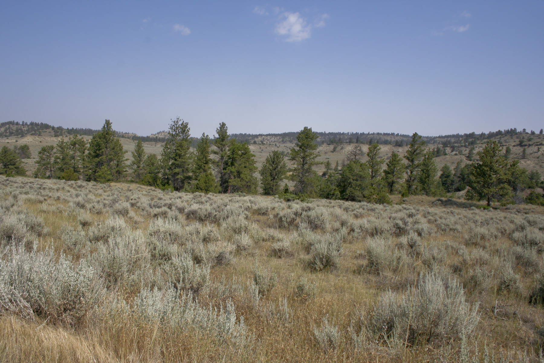 Silver Sage Ranch property picture 7 of 10