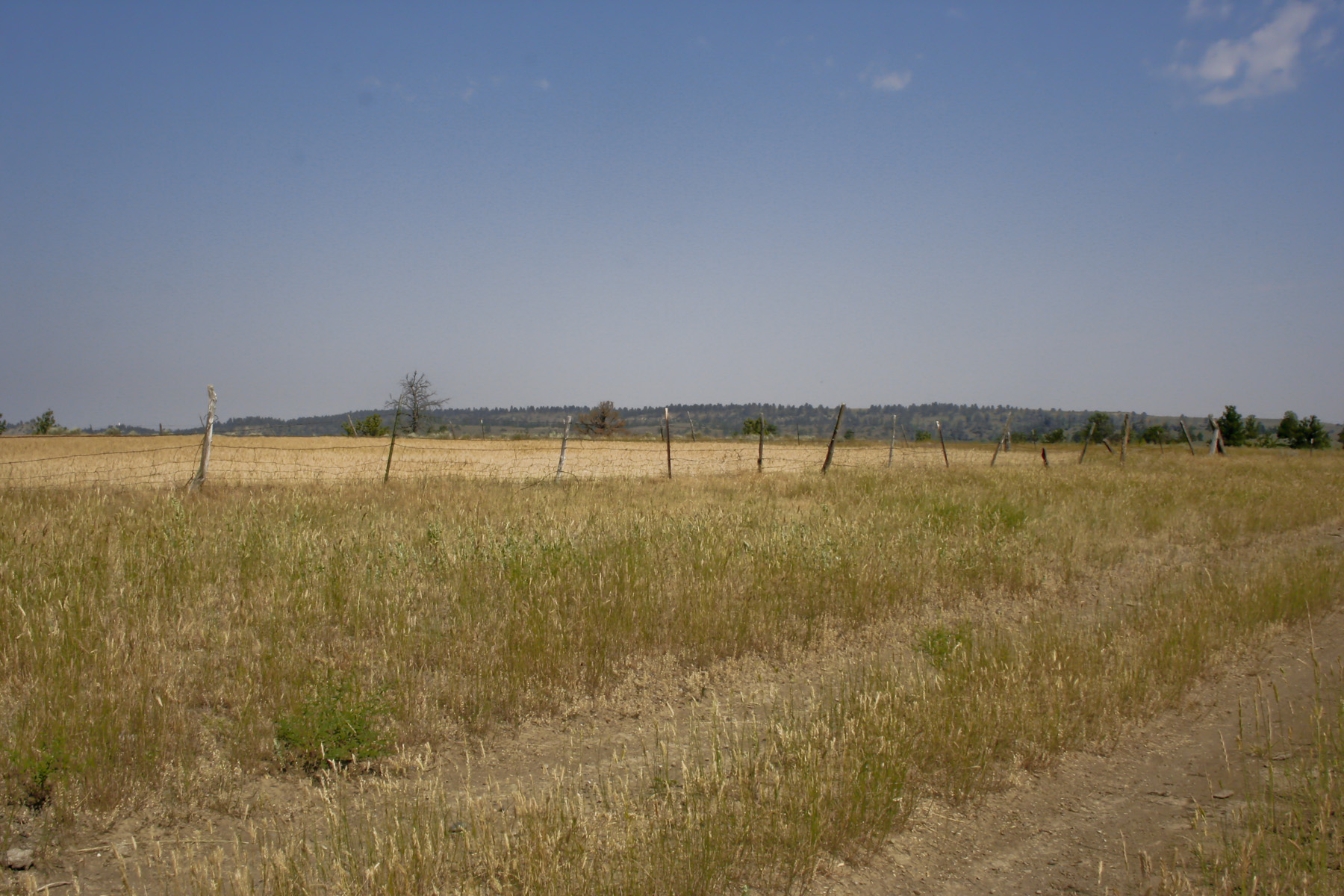 Silver Sage Ranch property picture 9 of 10