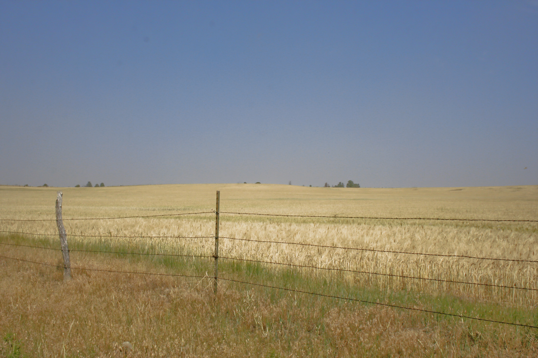 Silver Sage Ranch property picture 10 of 10
