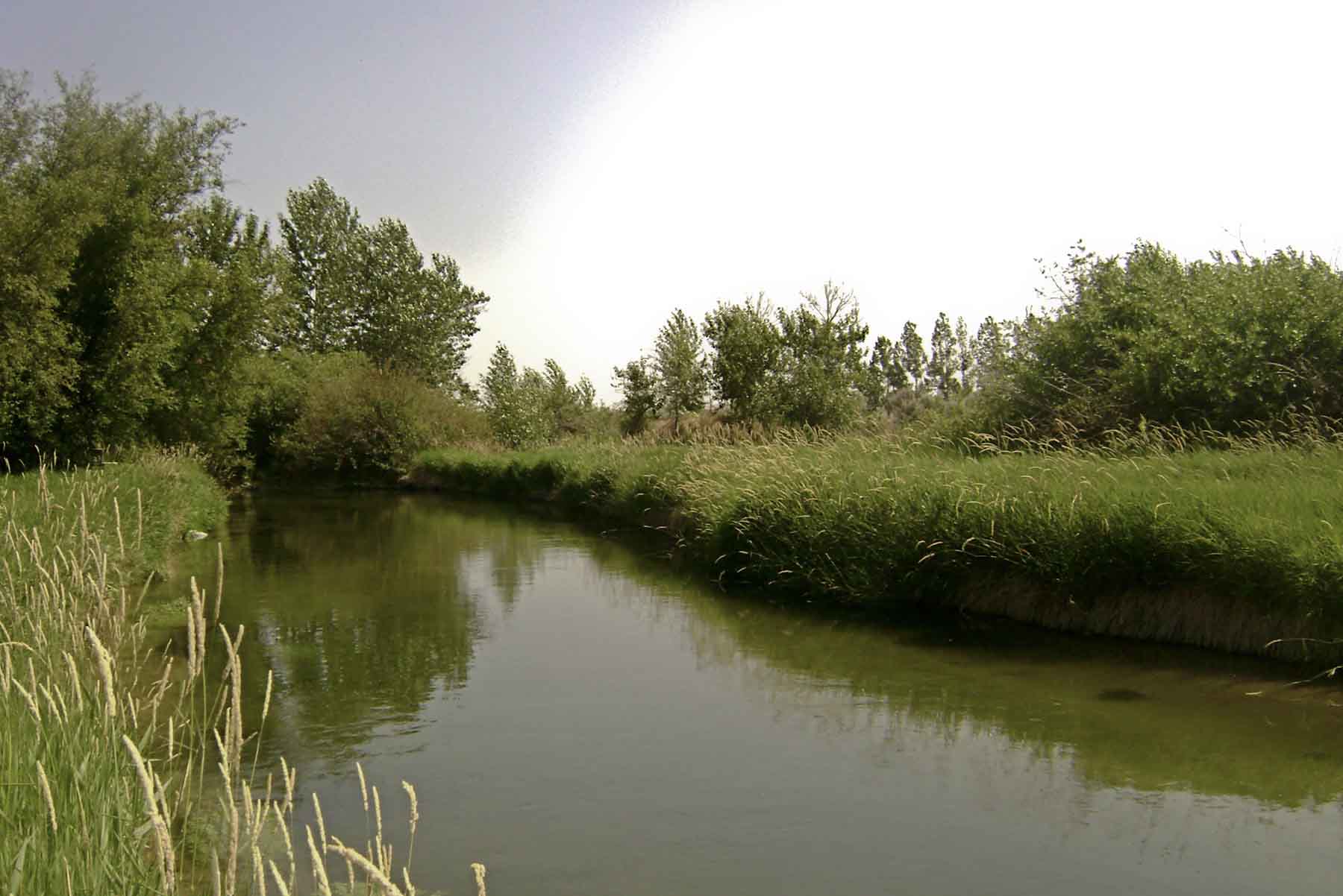 Hidden Crown Ranch LLC property picture 2 of 10