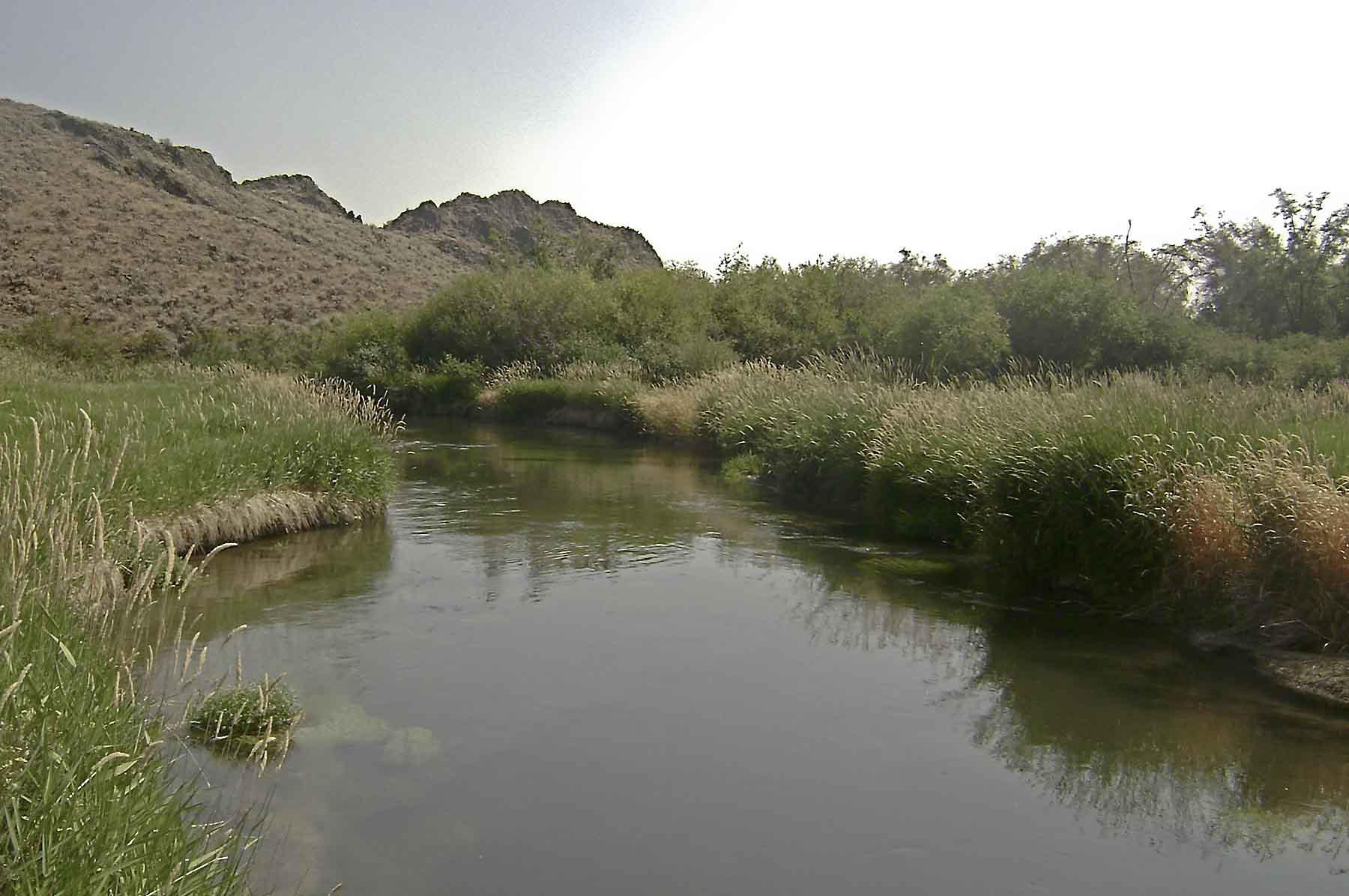 Hidden Crown Ranch LLC property picture 4 of 10