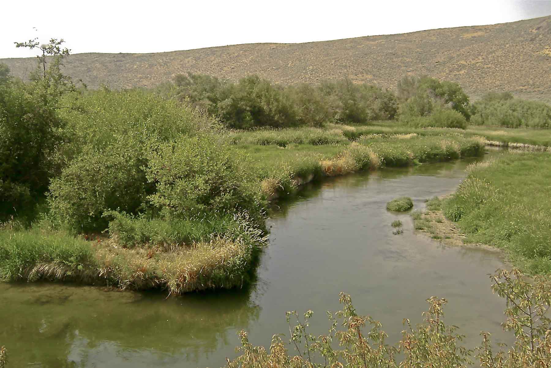 Hidden Crown Ranch LLC property picture 5 of 10