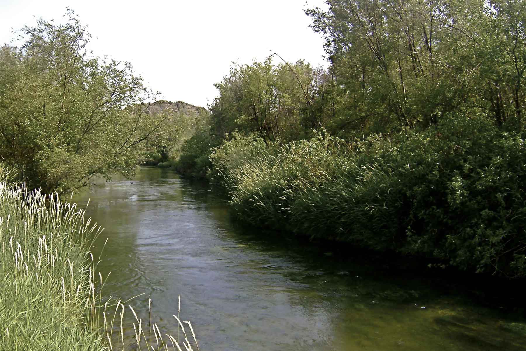 Hidden Crown Ranch LLC property picture 7 of 10