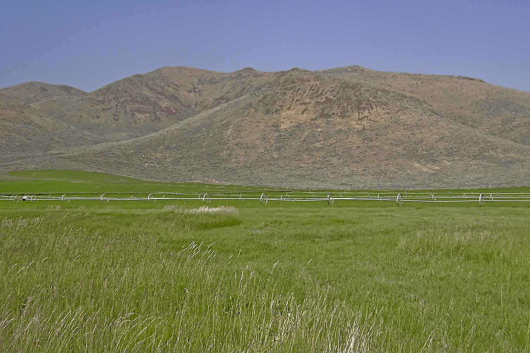 Hidden Crown Ranch LLC property picture 8 of 10