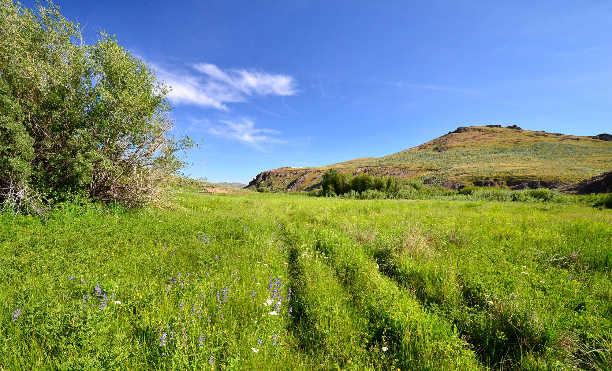 Little Wood Headwaters Ranch property picture 10 of 10