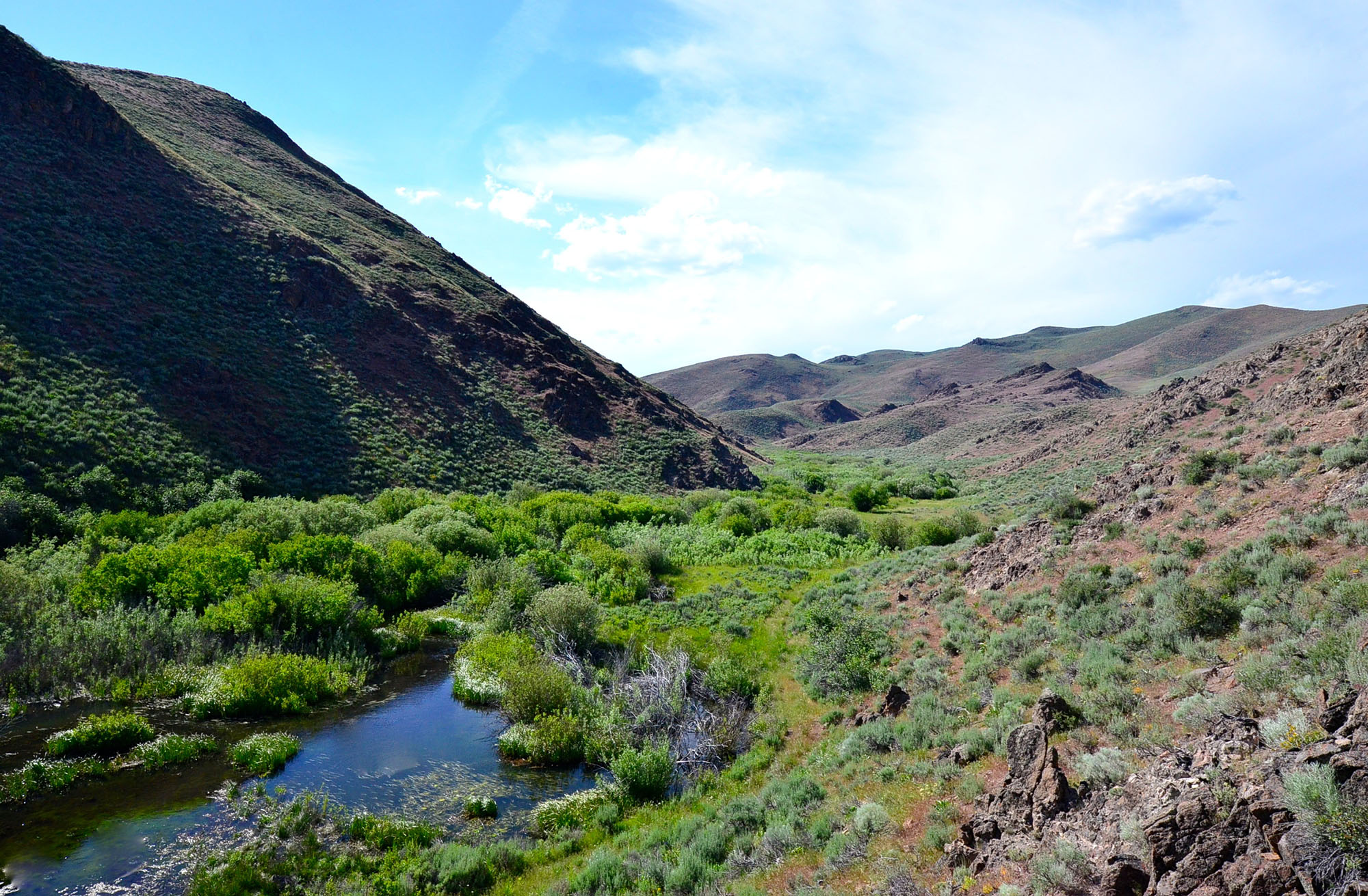 Little Wood Headwaters Ranch property picture 5 of 10