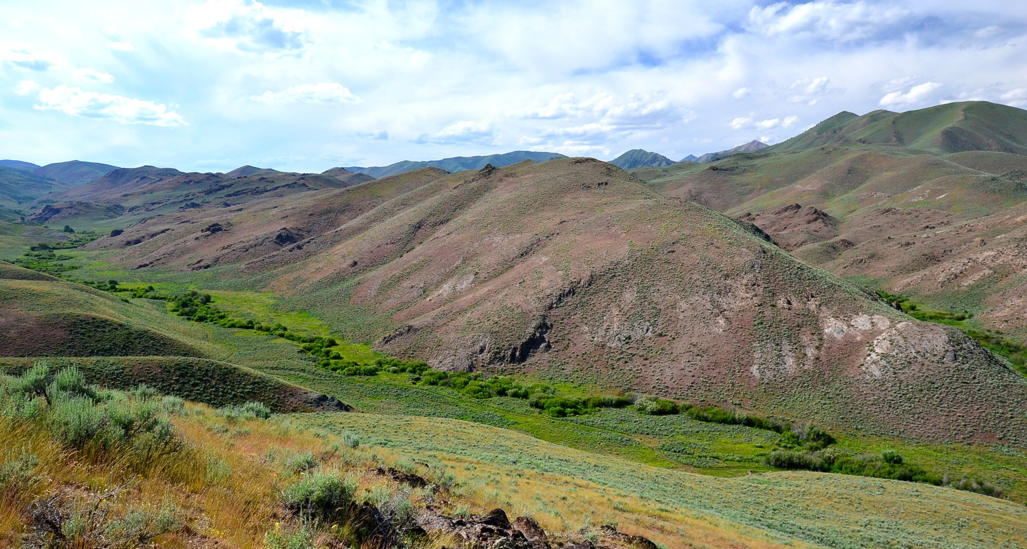 Little Wood Headwaters Ranch property picture 6 of 10