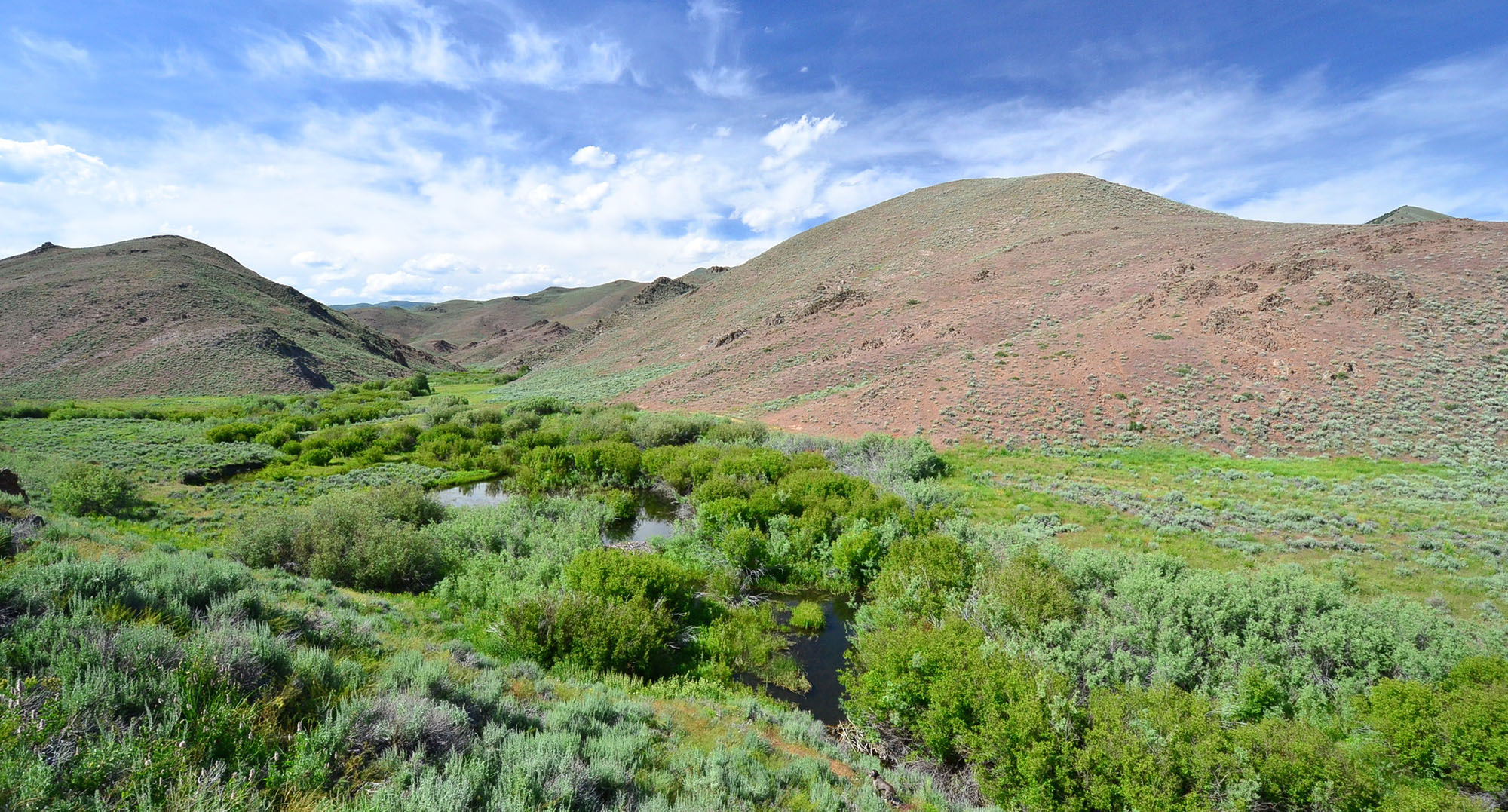 Little Wood Headwaters Ranch property picture 9 of 10