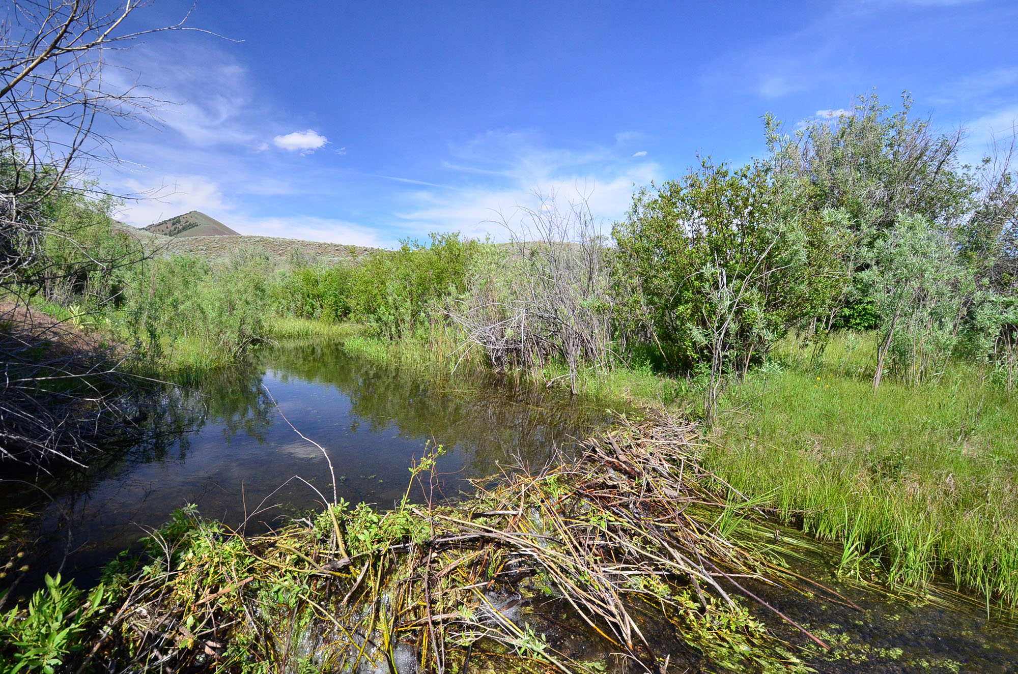Little Wood Headwaters Ranch property picture 2 of 10