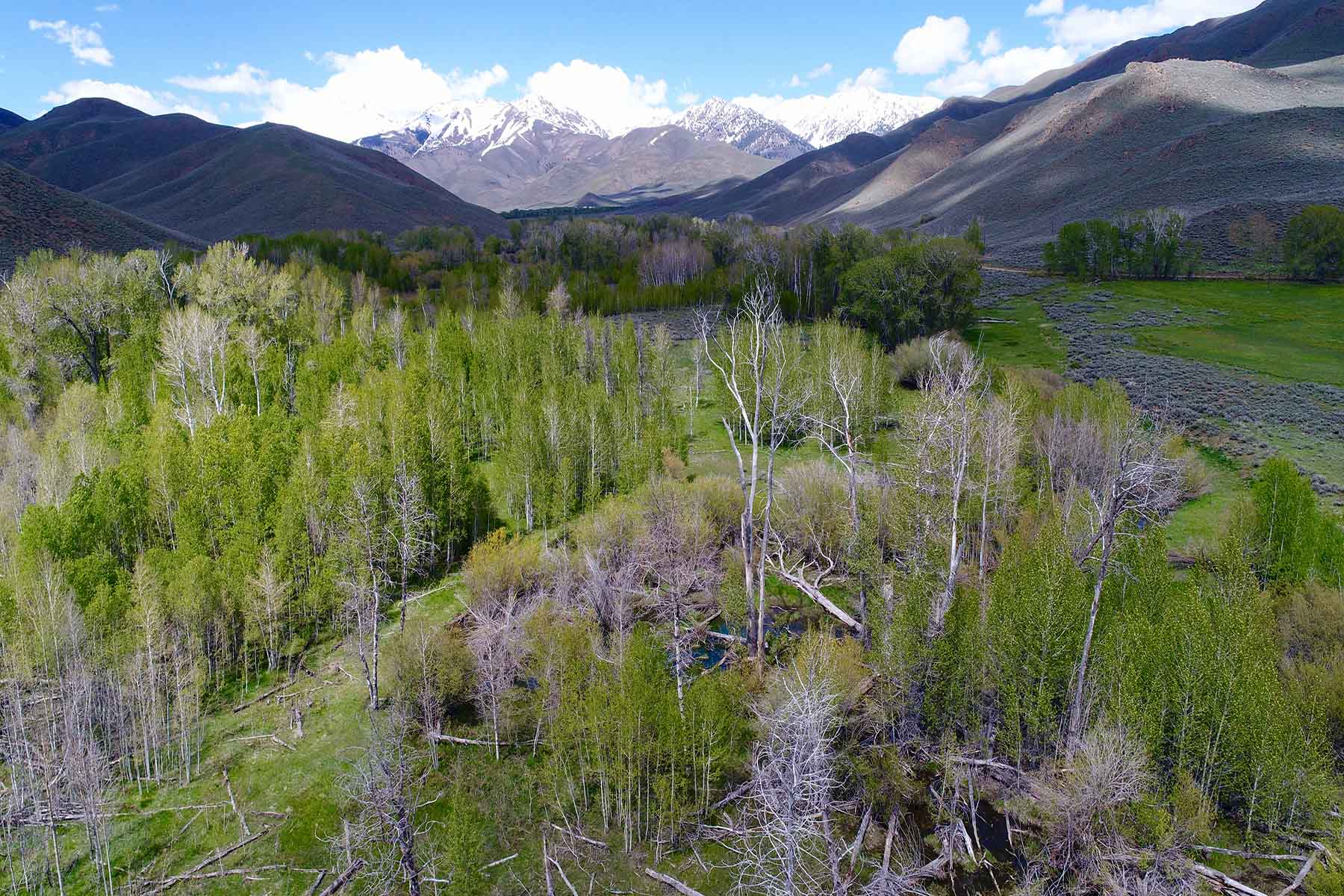 Muldoon Creek Ranch property picture 3 of 33