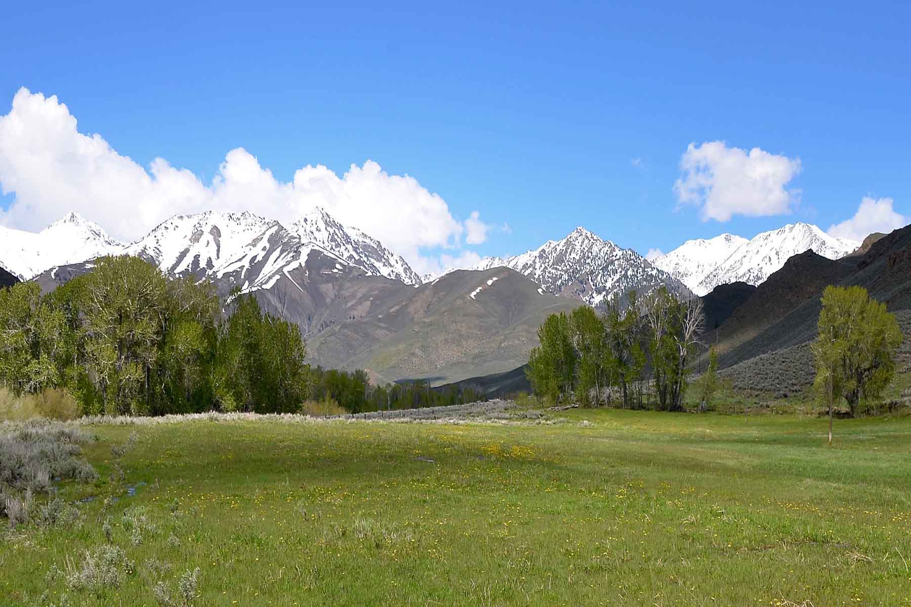 Muldoon Creek Ranch property picture 5 of 33