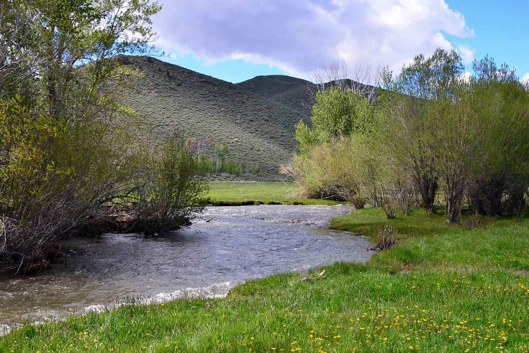 Muldoon Creek Ranch property picture 6 of 33