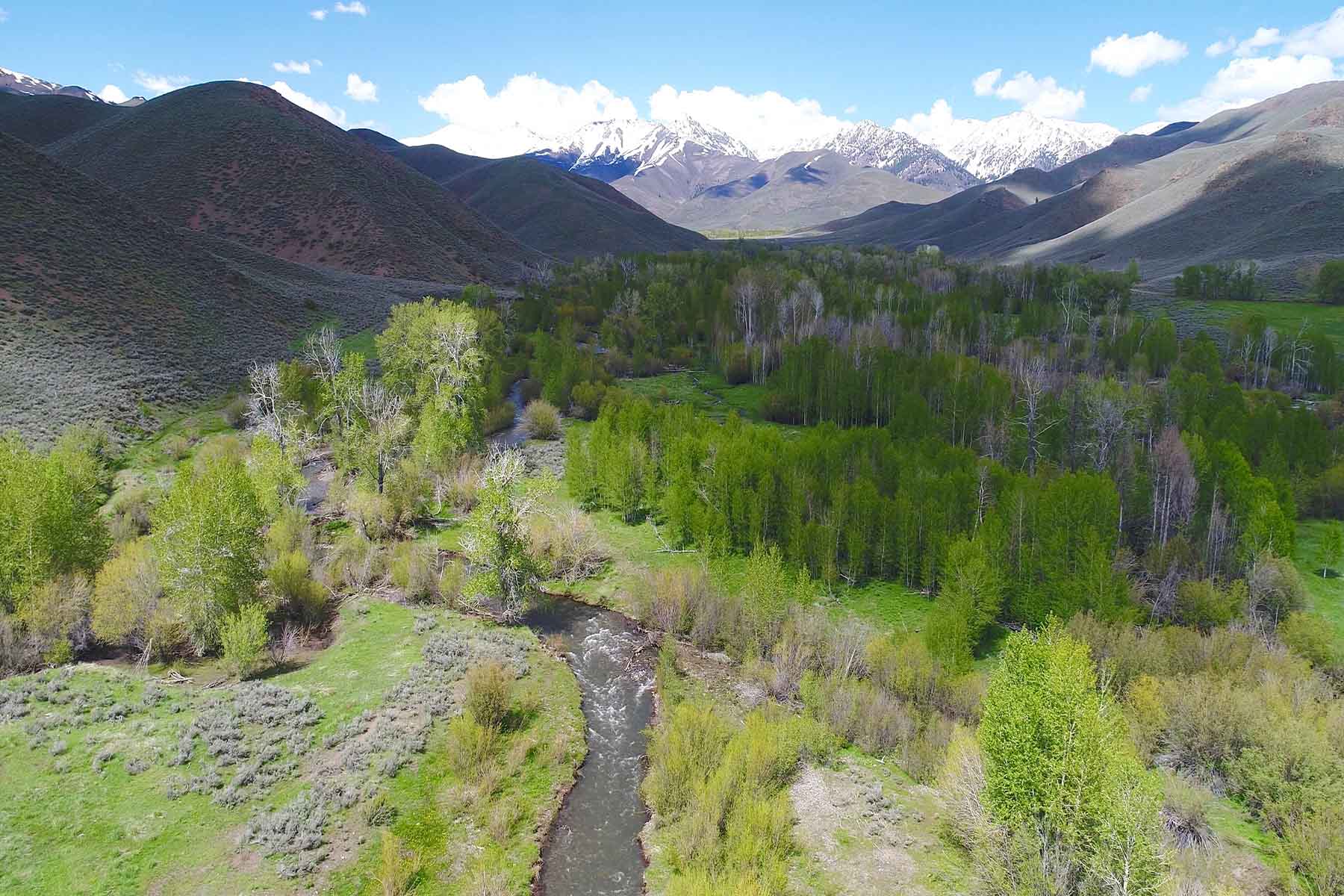 Muldoon Creek Ranch property picture 8 of 33