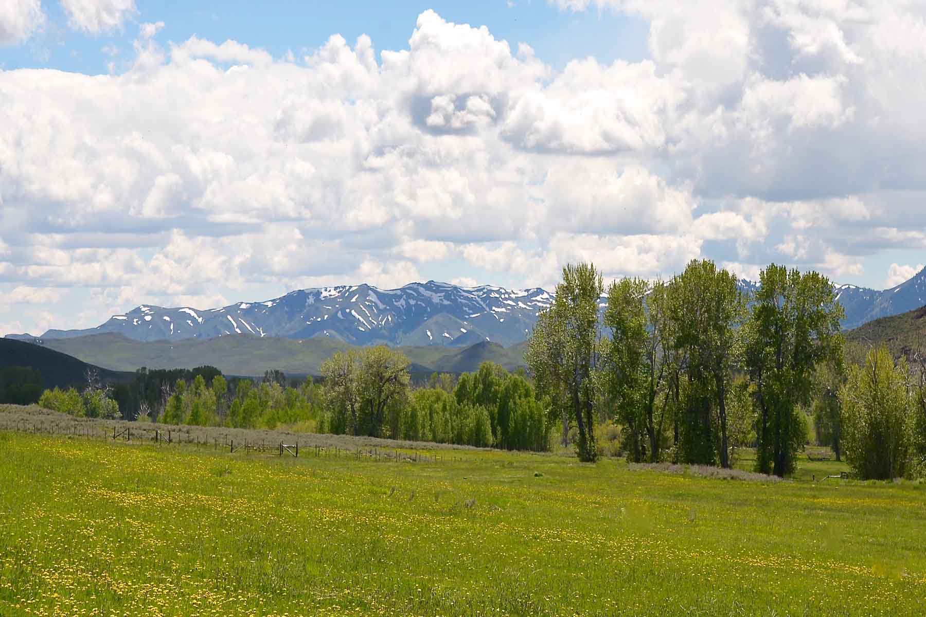 Muldoon Creek Ranch property picture 9 of 33