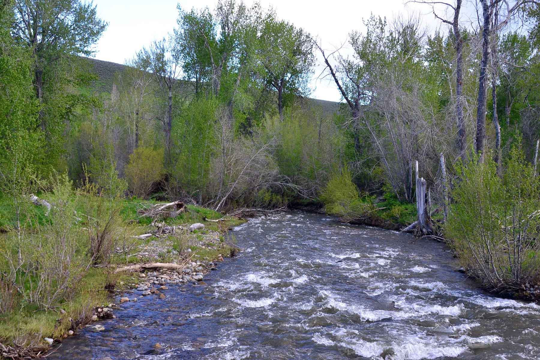 Muldoon Creek Ranch property picture 10 of 33