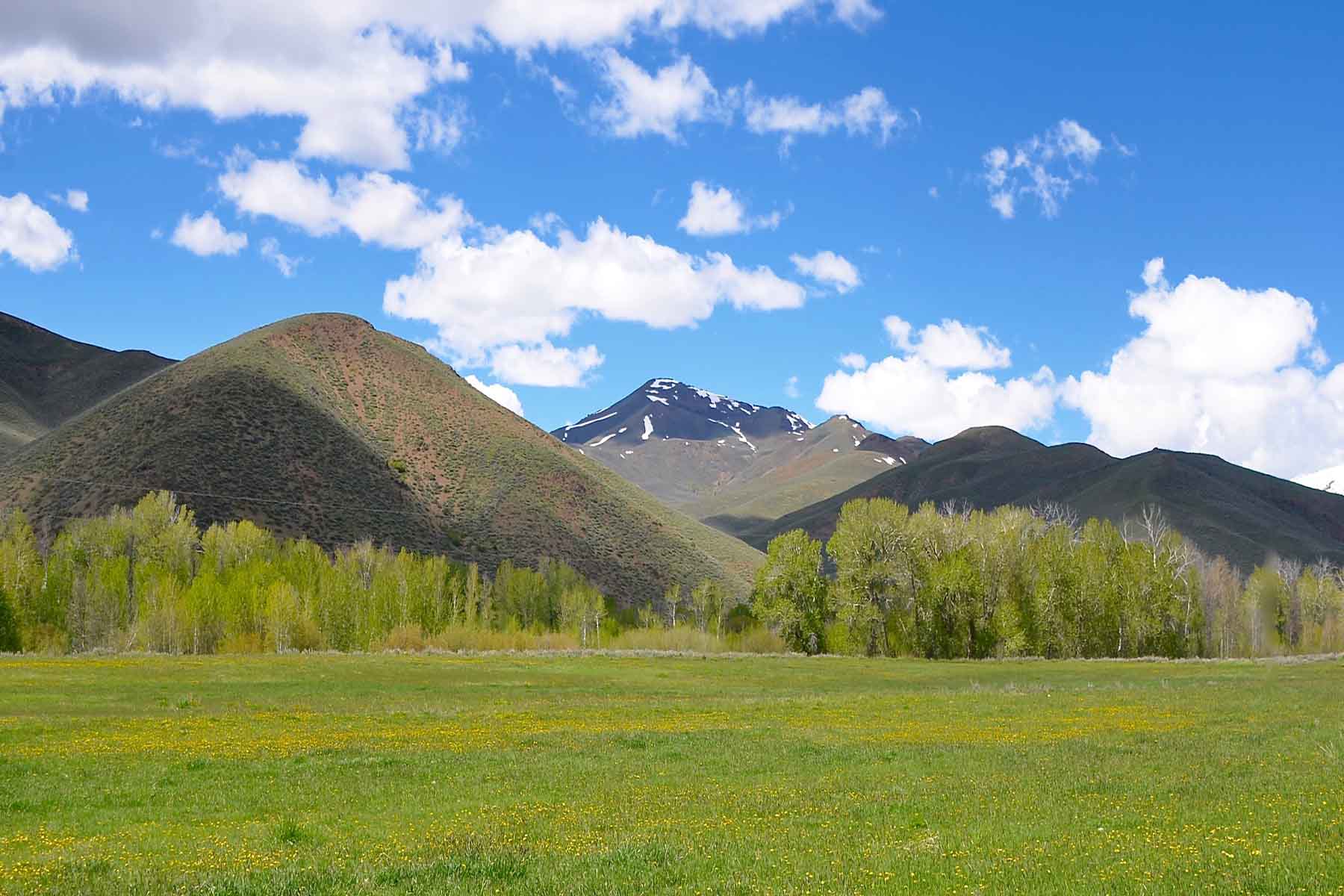 Muldoon Creek Ranch property picture 11 of 33