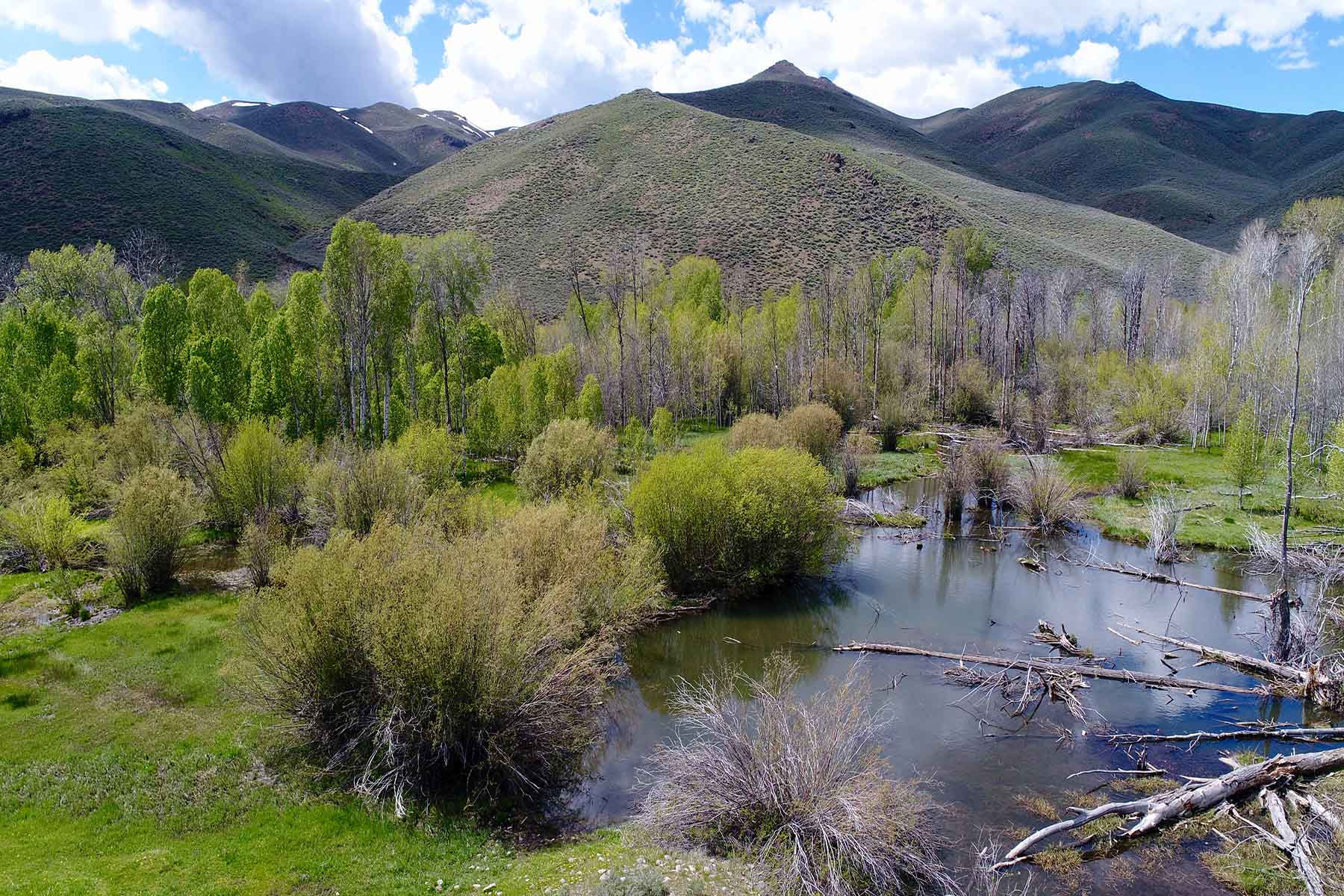 Muldoon Creek Ranch property picture 12 of 33