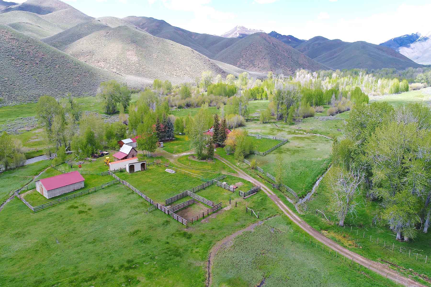 Muldoon Creek Ranch property picture 13 of 33