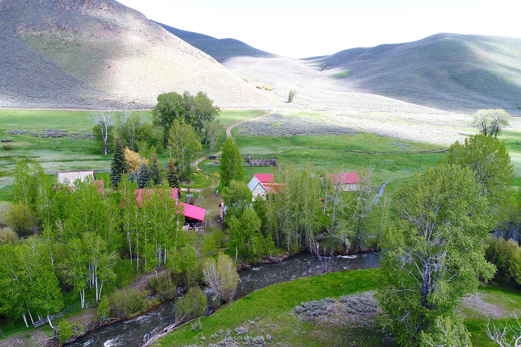 Muldoon Creek Ranch property picture 14 of 33