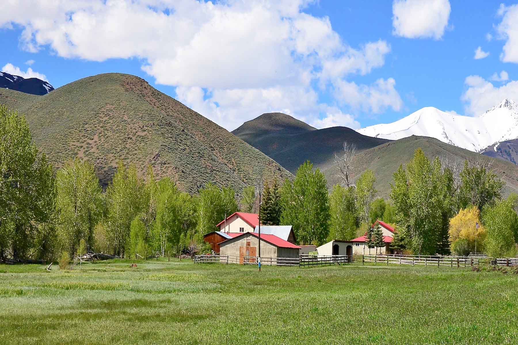 Muldoon Creek Ranch property picture 19 of 33