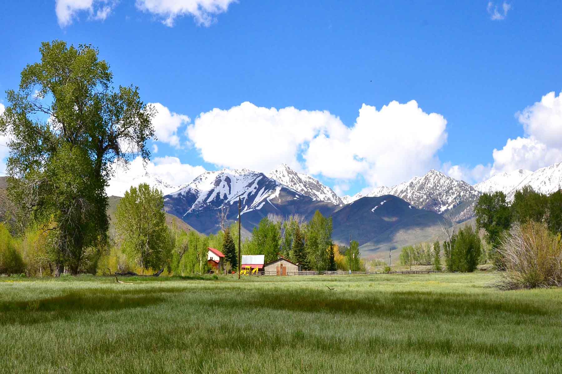 Muldoon Creek Ranch property picture 20 of 33