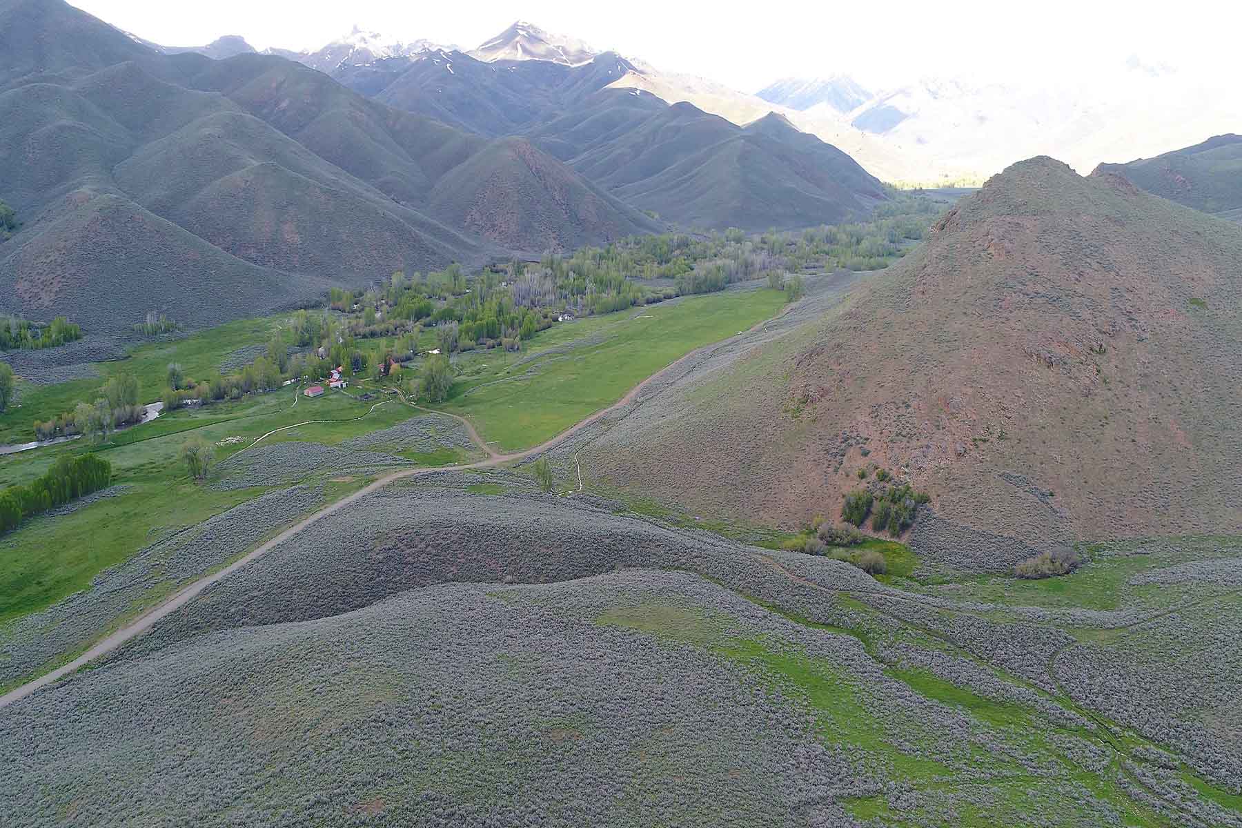 Muldoon Creek Ranch property picture 22 of 33