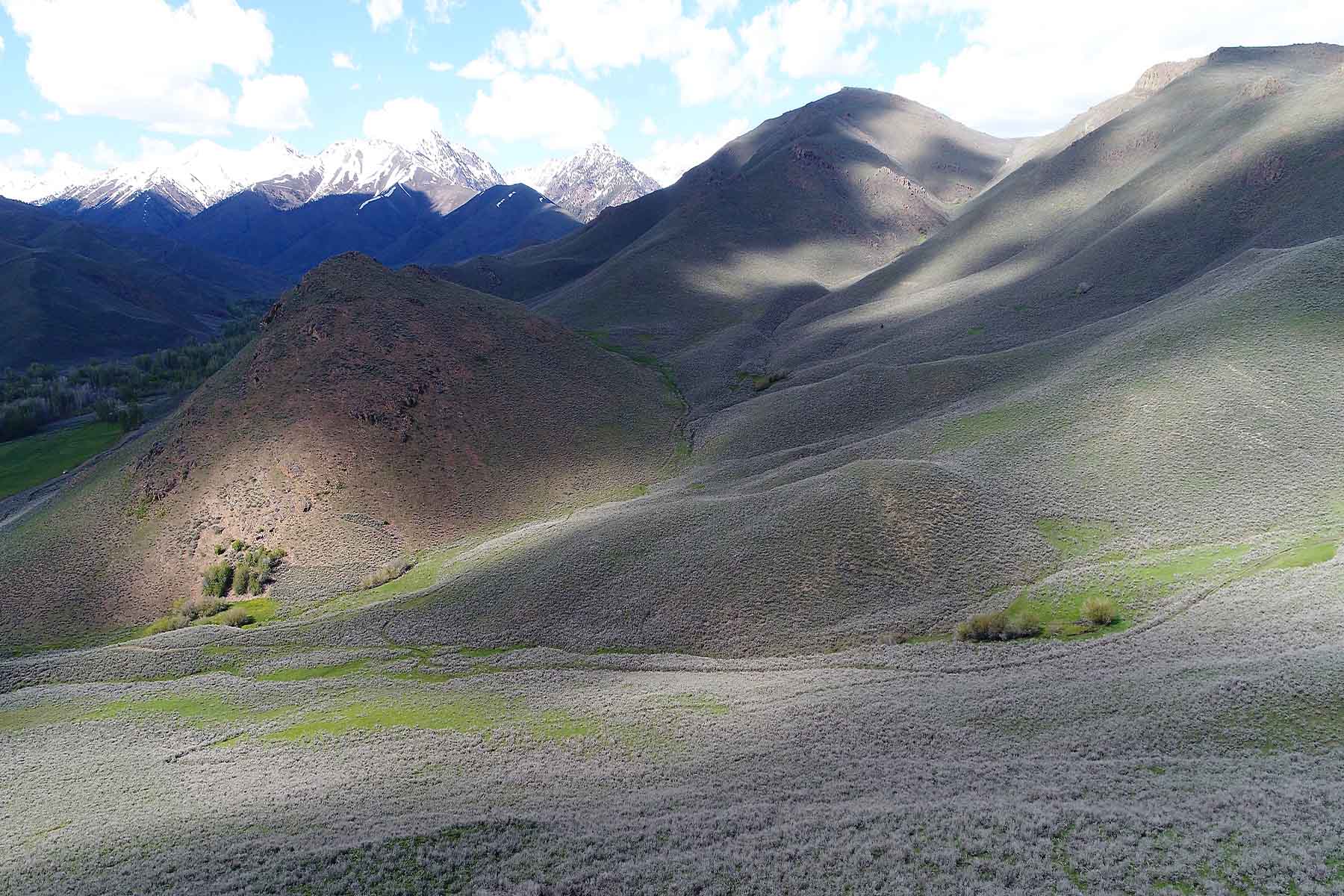 Muldoon Creek Ranch property picture 25 of 33