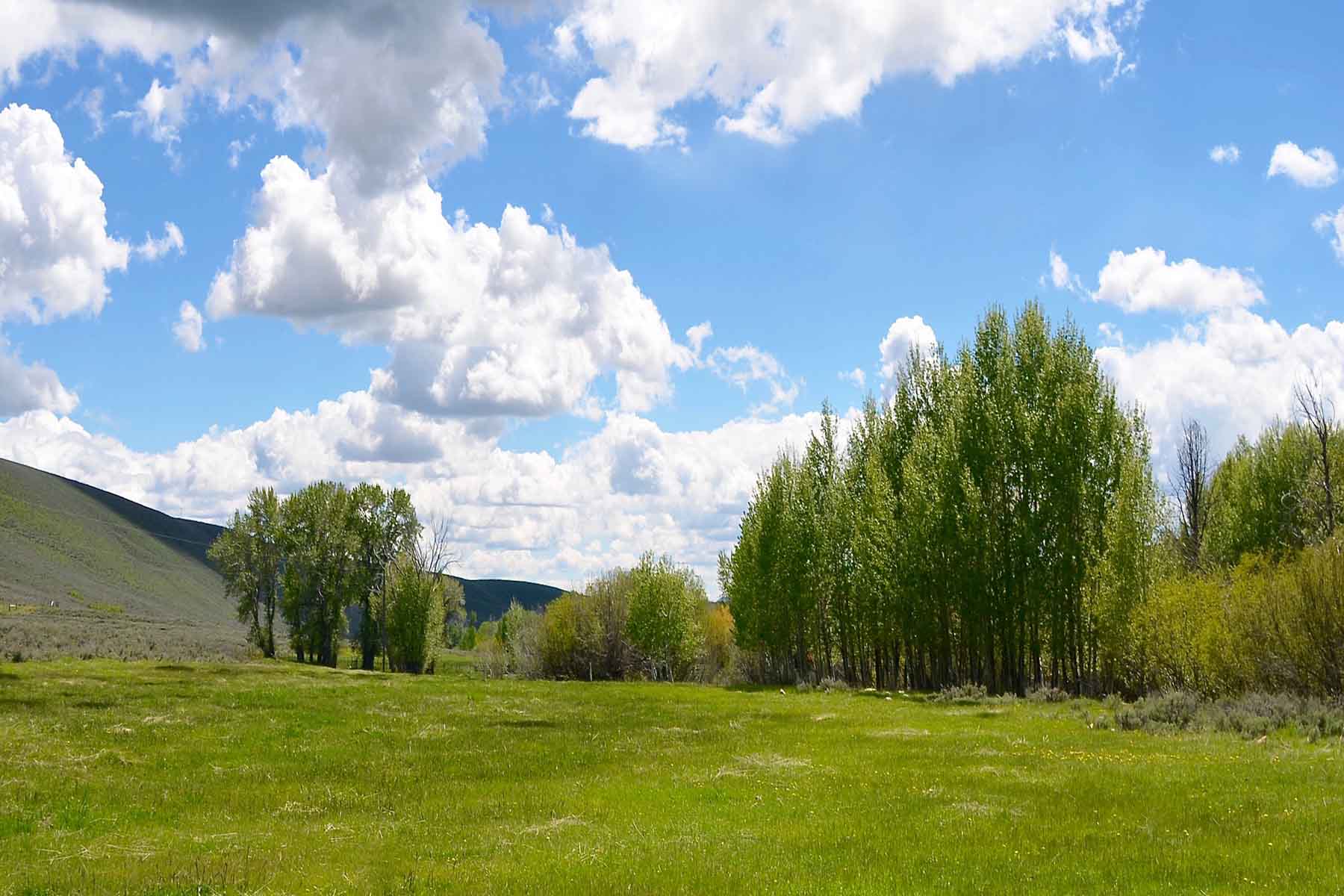 Muldoon Creek Ranch property picture 26 of 33