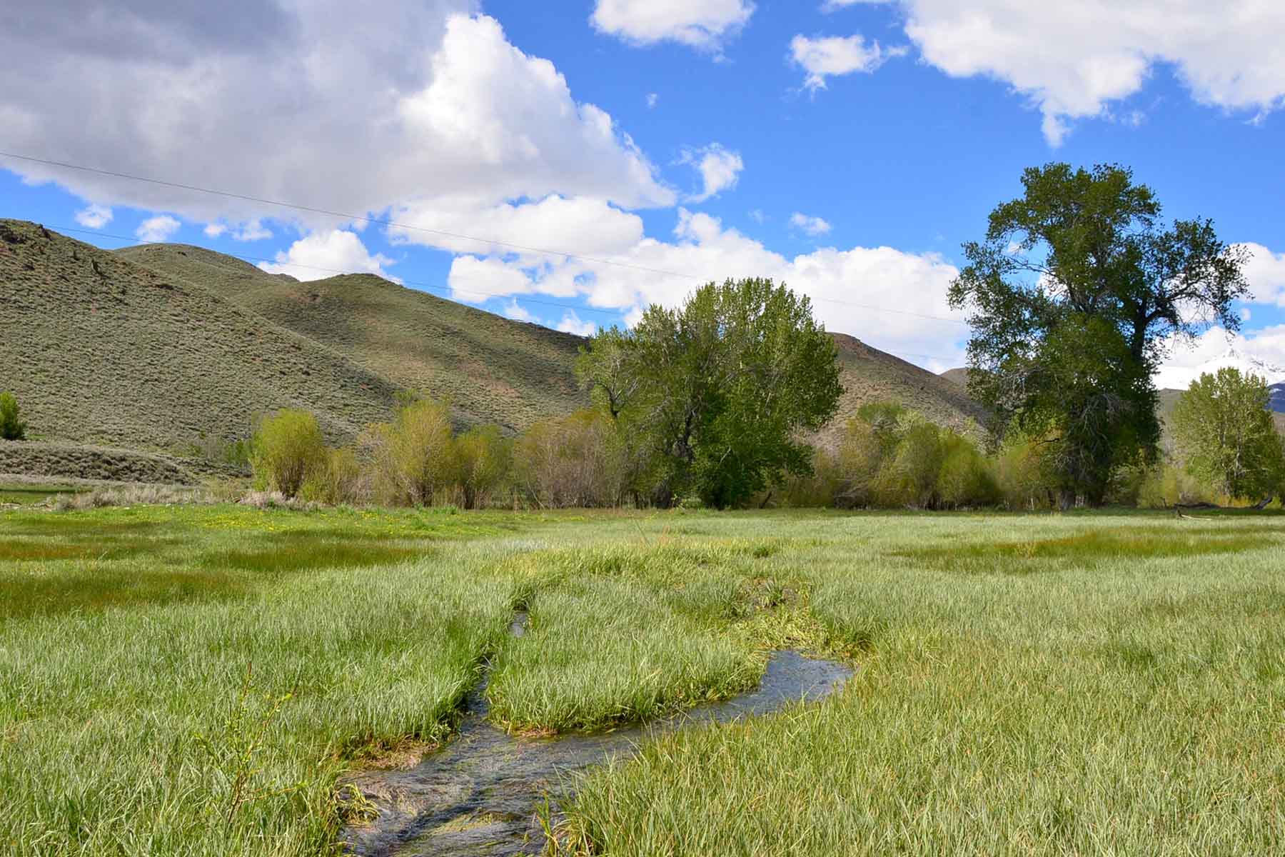 Muldoon Creek Ranch property picture 28 of 33