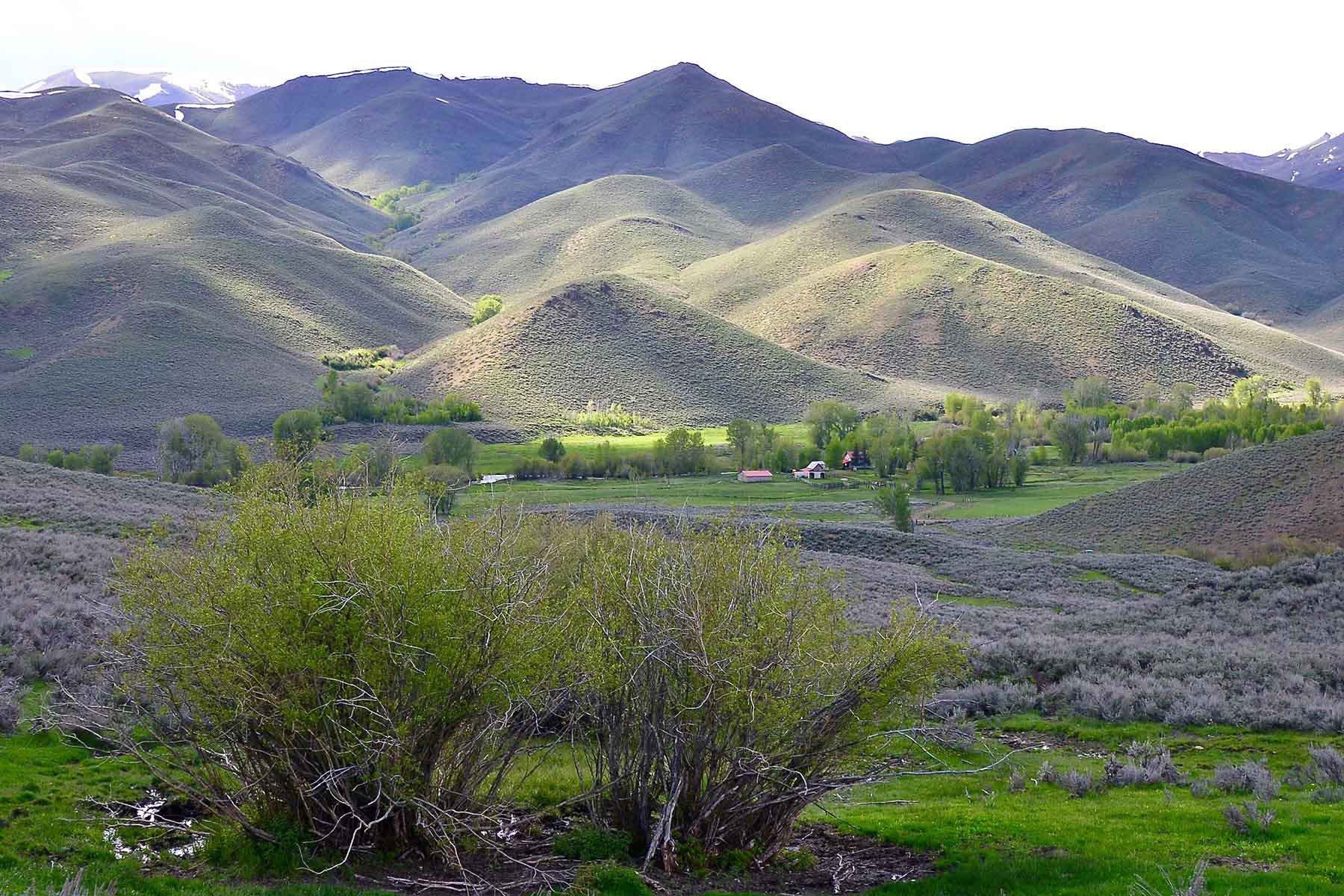 Muldoon Creek Ranch property picture 29 of 33