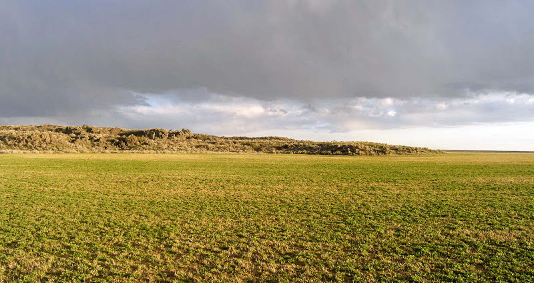 Huff Creek Ranch property picture 25 of 55