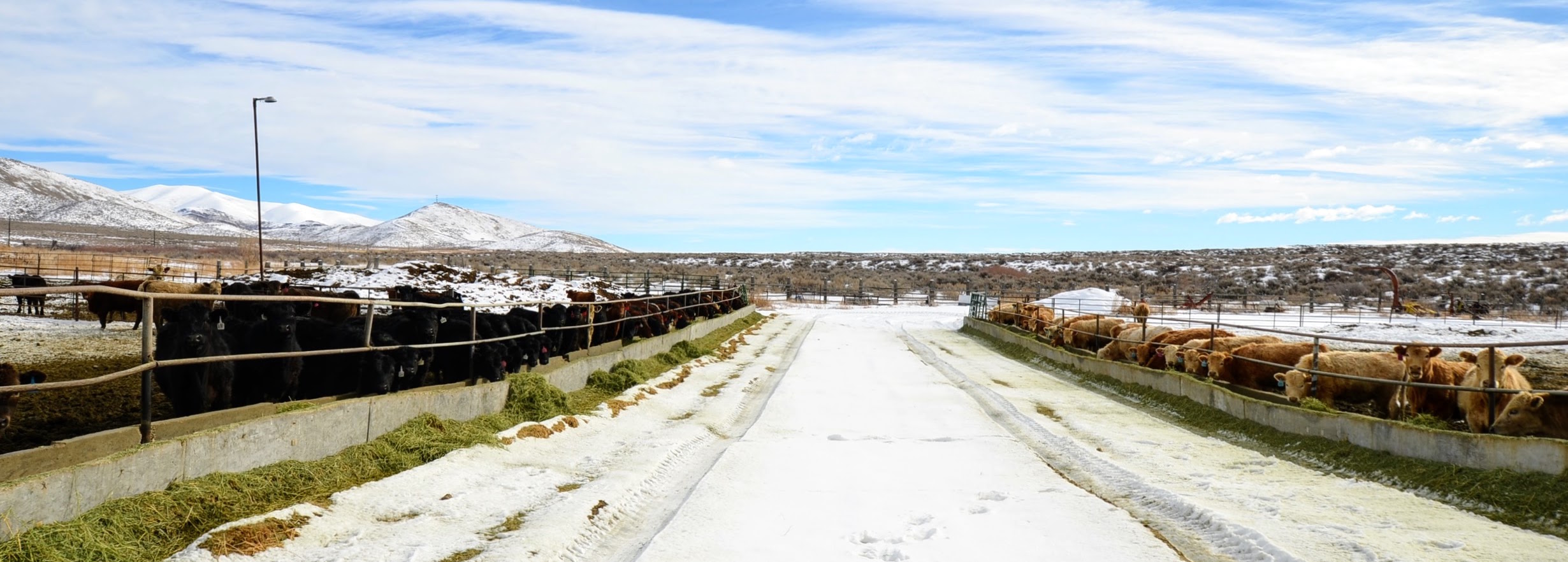 Huff Creek Ranch property picture 52 of 55