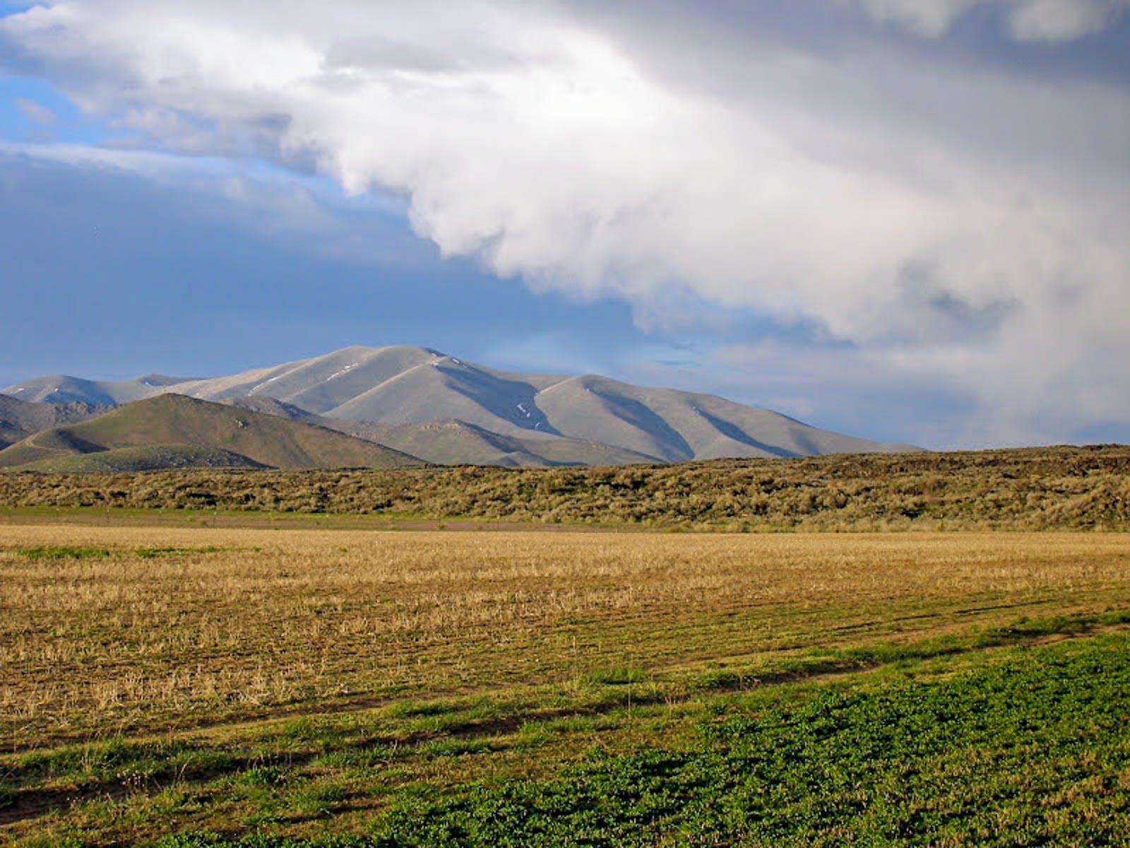 Huff Creek Ranch property picture 9 of 55