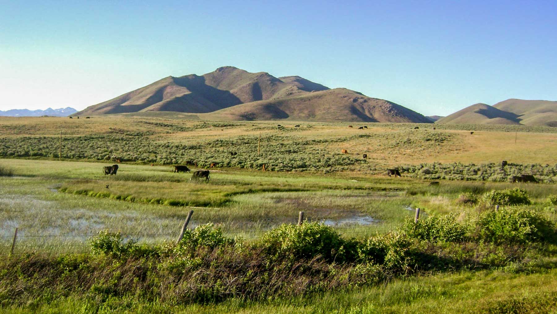 Huff Creek Ranch property picture 3 of 55