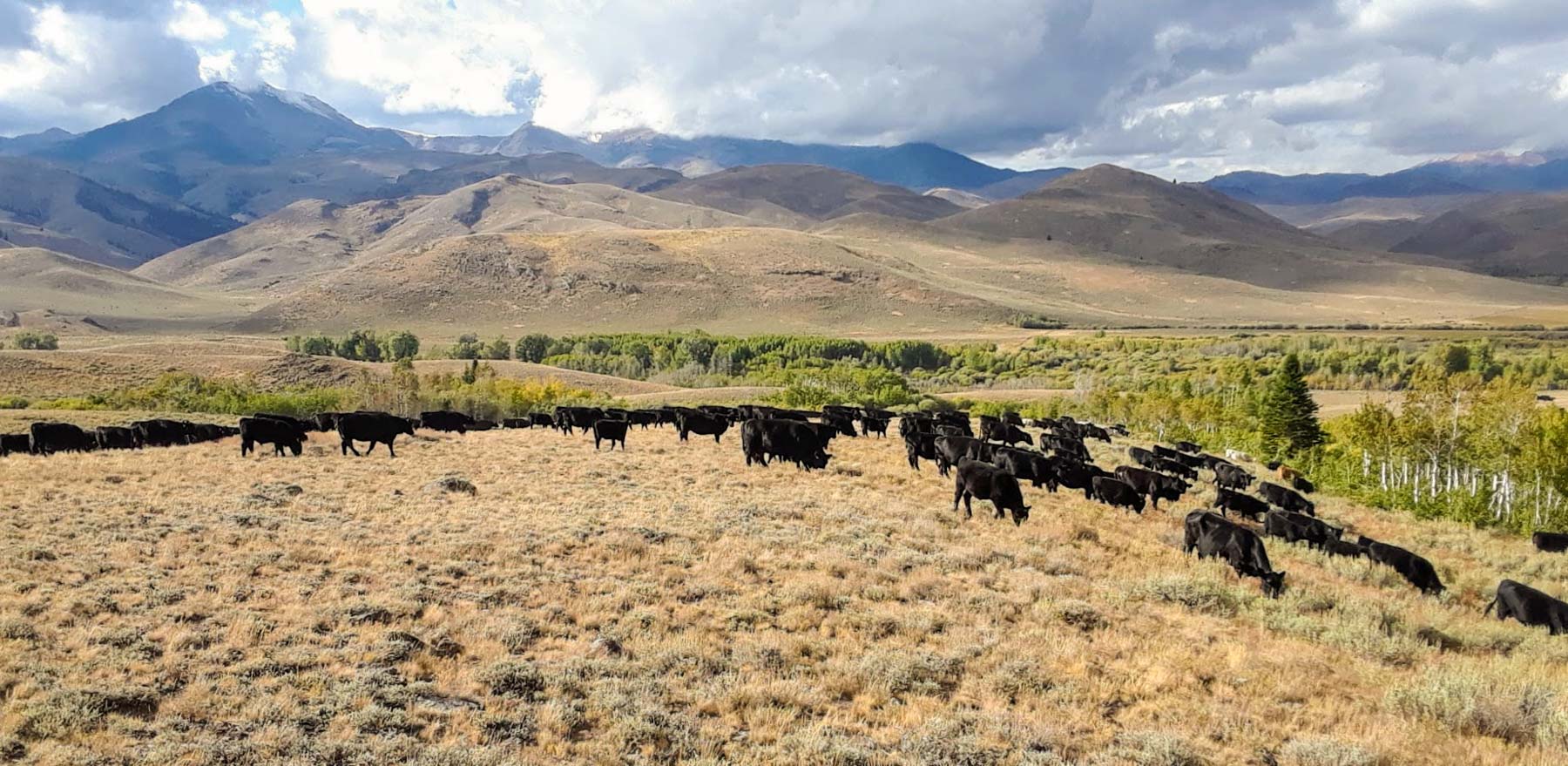 Huff Creek Ranch property picture 32 of 55