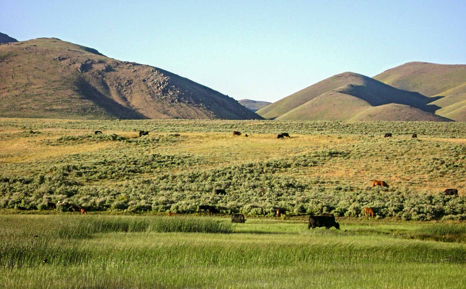 Huff Creek Ranch property picture 2 of 55