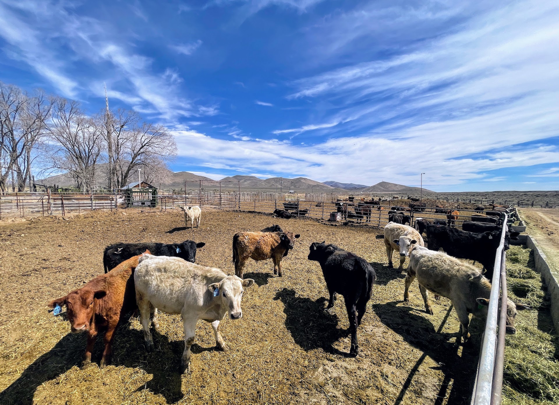 Huff Creek Ranch property picture 48 of 55