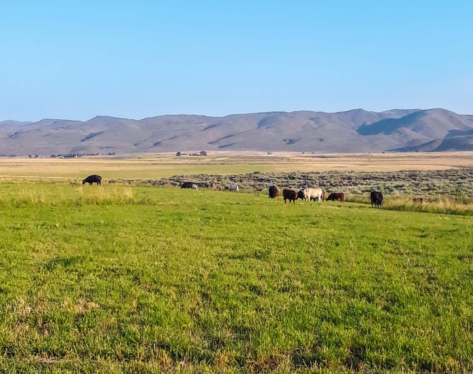 Huff Creek Ranch property picture 23 of 55