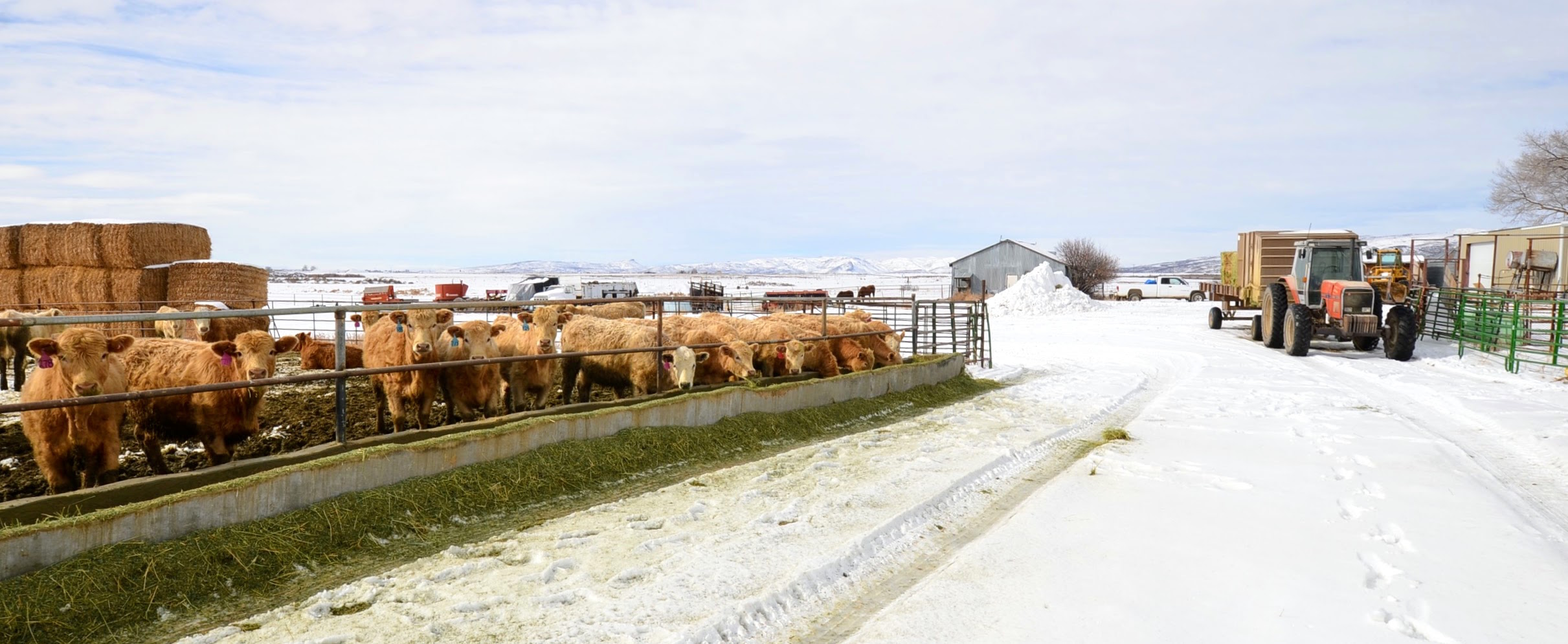 Huff Creek Ranch property picture 53 of 55