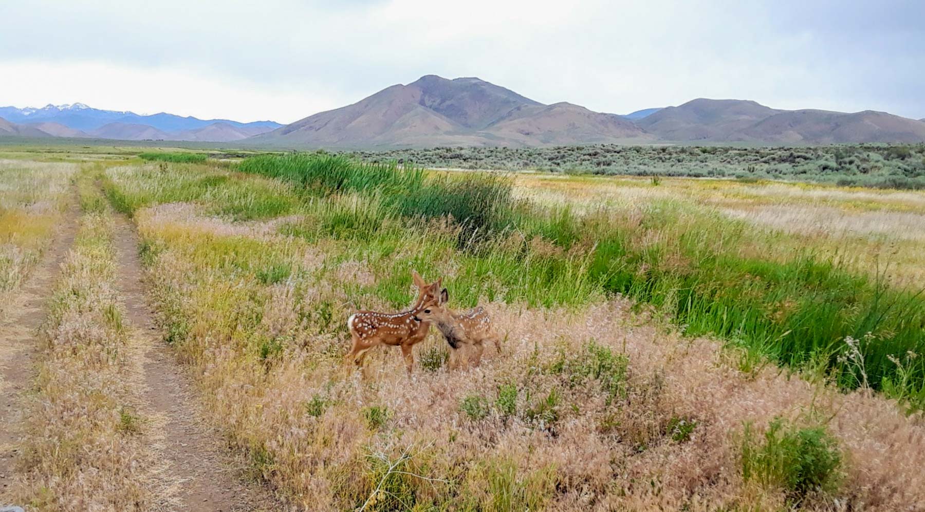 Huff Creek Ranch property picture 26 of 55