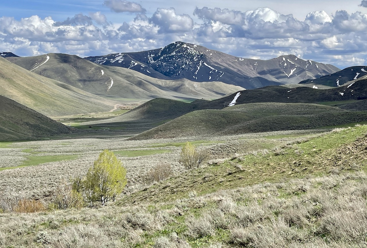 Huff Creek Ranch property picture 34 of 55