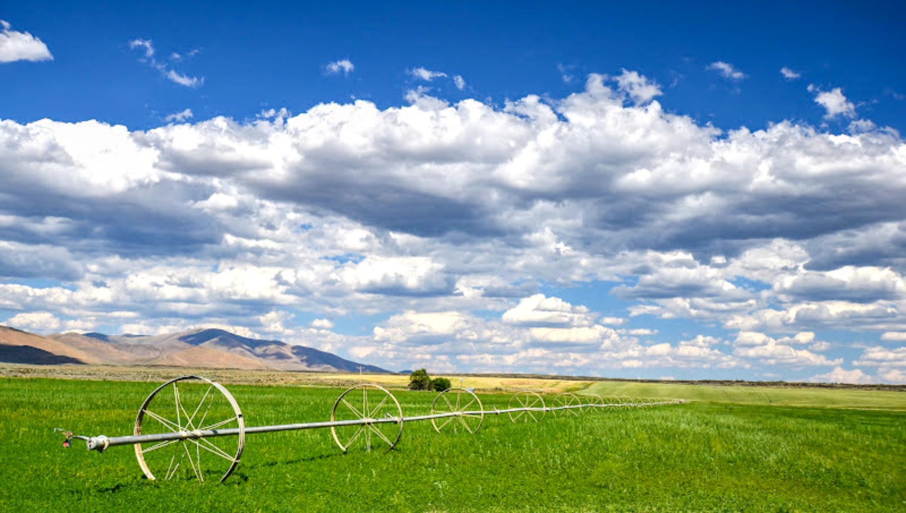 Huff Creek Ranch property picture 19 of 55