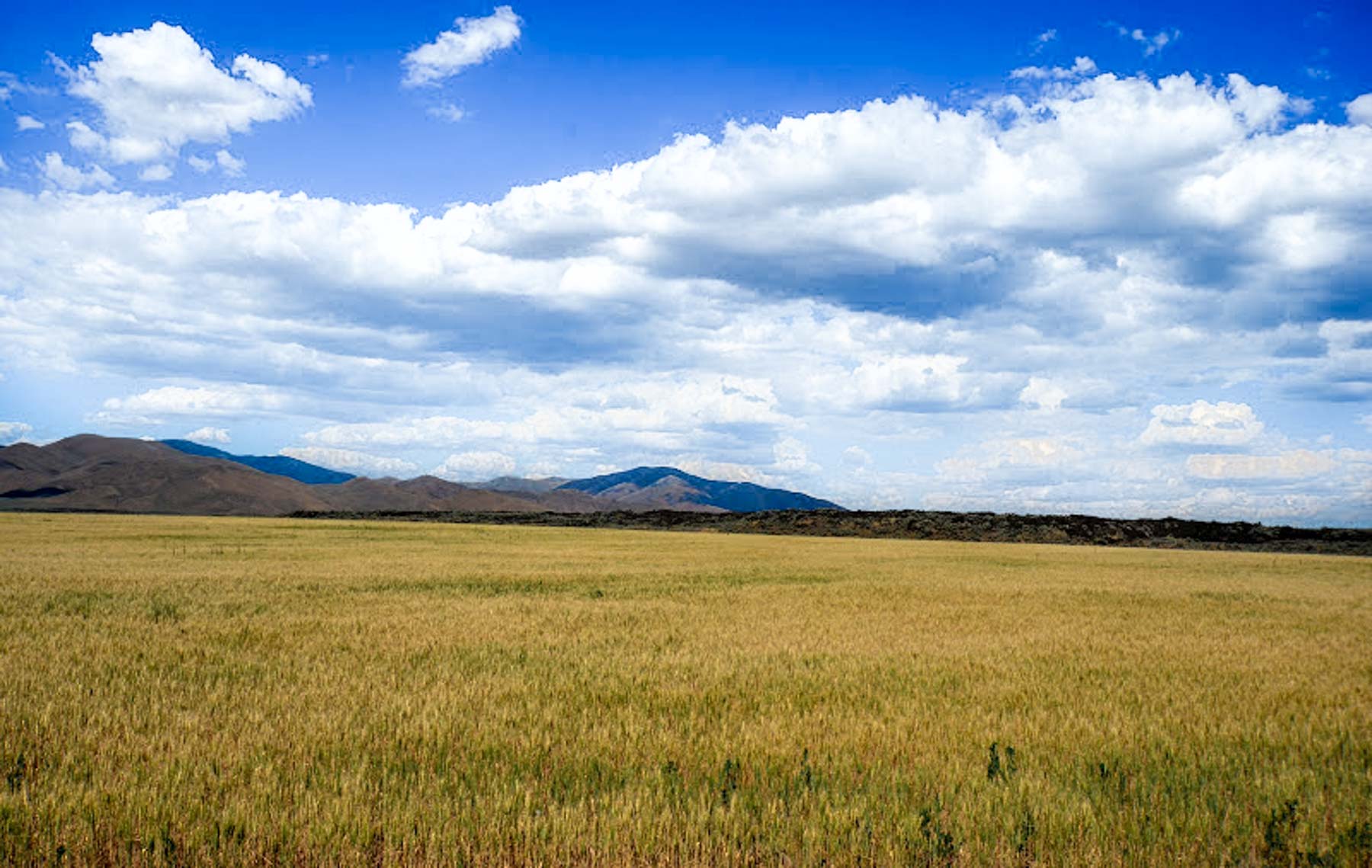 Huff Creek Ranch property picture 20 of 55