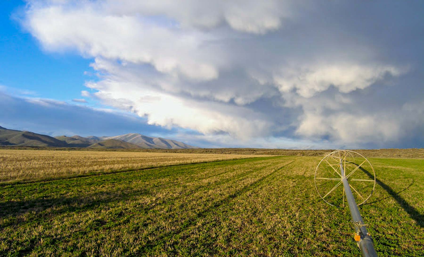 Huff Creek Ranch property picture 21 of 55