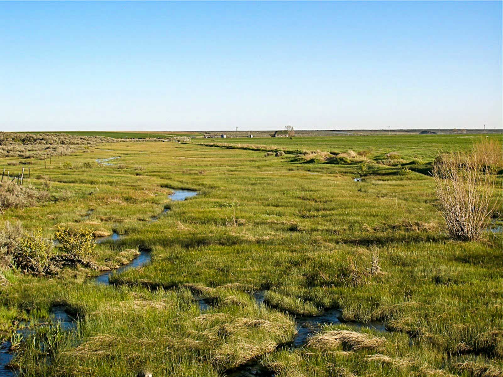 Huff Creek Ranch property picture 12 of 55