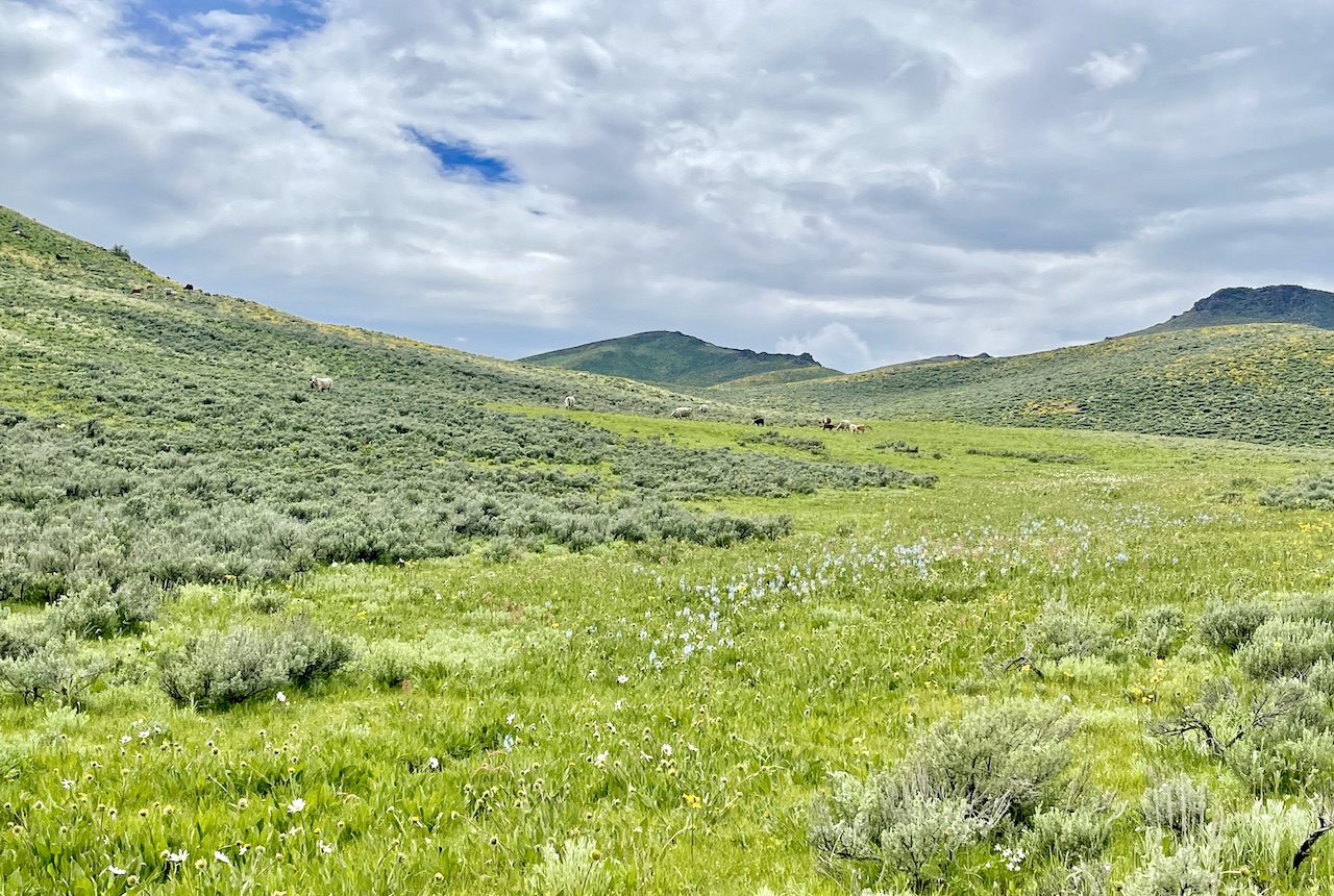 Huff Creek Ranch property picture 39 of 55