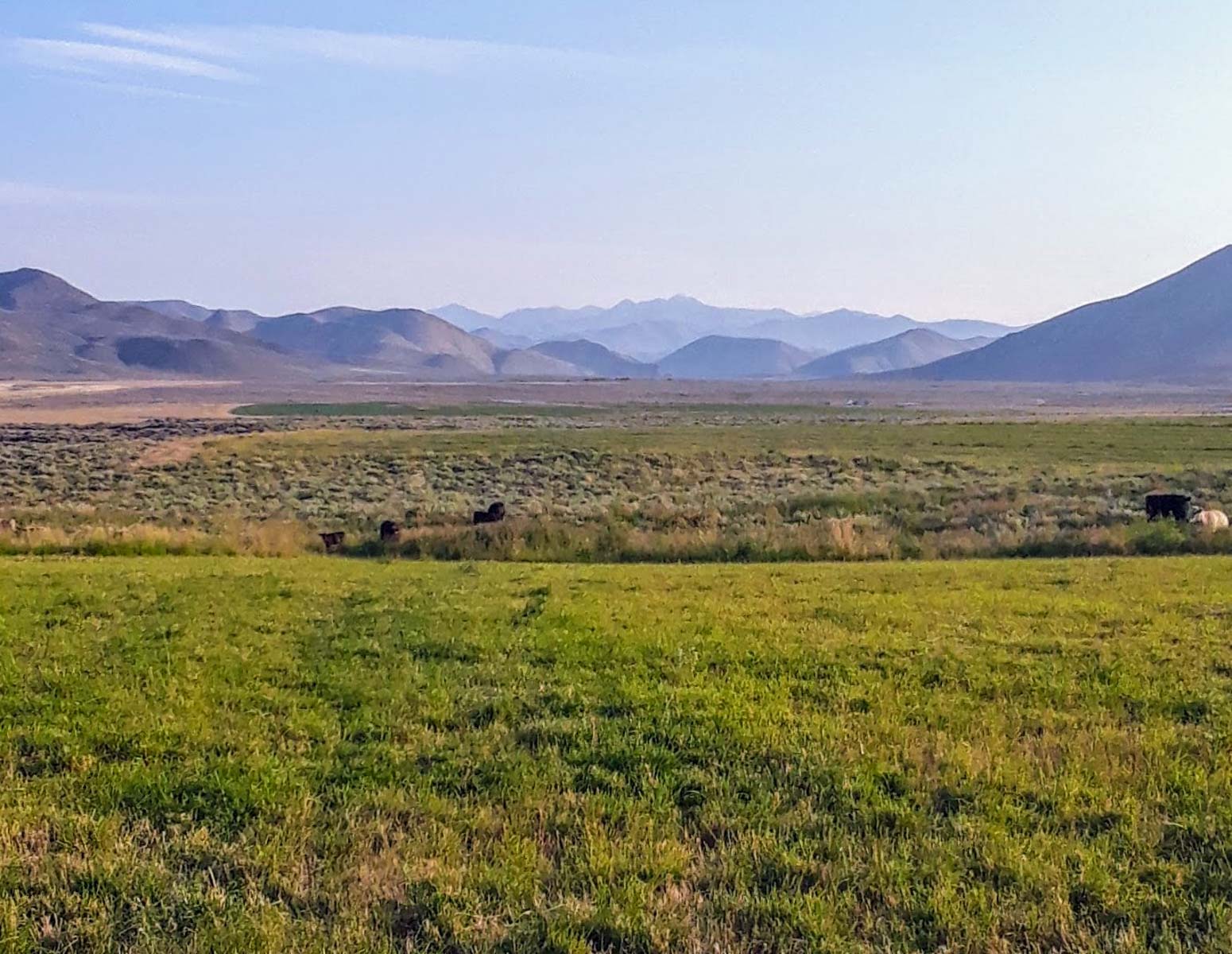 Huff Creek Ranch property picture 22 of 55