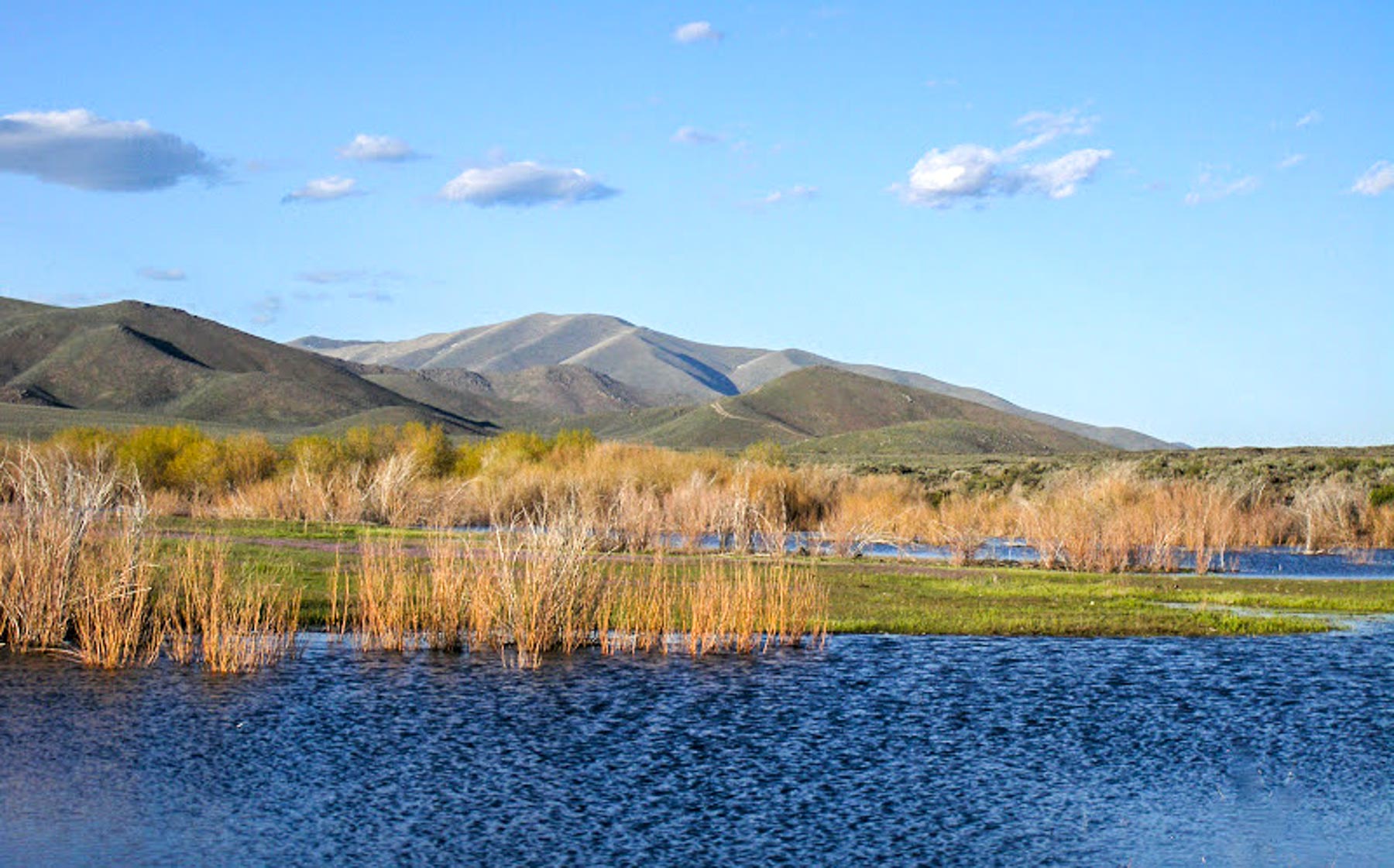 Huff Creek Ranch property picture 11 of 55